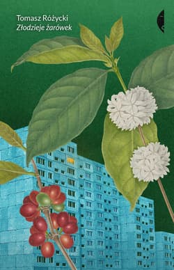 Złodzieje żarówek - ebook - Tomasz Różycki