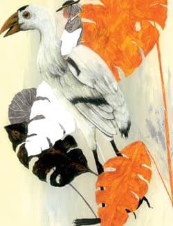 Galeria - zdjęcie nr. 2 - Złota klatka czyli Prawdziwa historia księżniczki czystej krwi