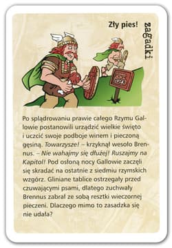 Galeria - zdjęcie nr. 3 - Złote historie
