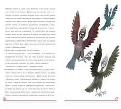 Galeria - zdjęcie nr. 5 - Złote Runo. Opowieści z zaczarowanego lasu. Mity greckie. Tom 12 + CD