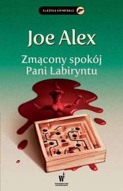 Zmącony spokój Pani Labiryntu - ebook - Joe Alex