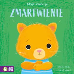 Zmartwienie. Moje emocje - Honor Head