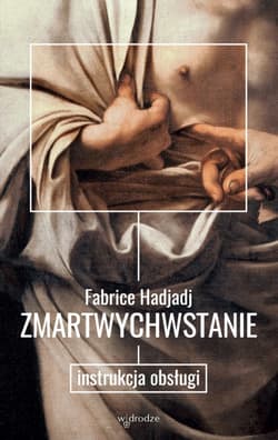 Zmartwychwstanie. Instrukcja obsługi - ebook - Fabrice Hadjadj