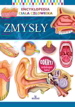 Zmysły. Encyklopedia ciała człowieka
