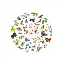 Znajdź nas Woda łąka i las - Kasia Jacobson