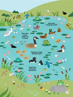 Galeria - zdjęcie nr. 4 - Znajdź ukryte zwierzaki.