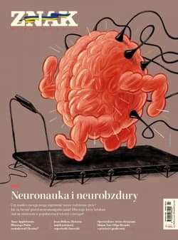 ZNAK 803 04/2022 Neuronauka i neurobzdury - Autor zbiorowy
