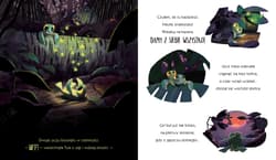 Galeria - zdjęcie nr. 2 - Żółwie, które dały radę