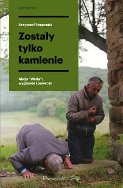 Zostały tylko kamienie. - ebook - Krzysztof Potaczała