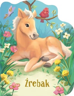 Źrebak - Wren  Rosalee