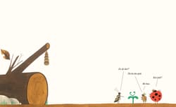 Galeria - zdjęcie nr. 3 - Zu dę daś?