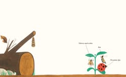 Galeria - zdjęcie nr. 5 - Zu dę daś?