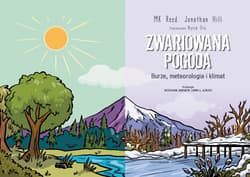 Galeria - zdjęcie nr. 2 - Zwariowana pogoda. Burze, meteorologia i klimat