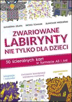 Zwariowane labirynty nie tylko dla dzieci - Wrzesiński Sławomir