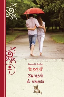 Związek do remontu - ebook