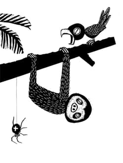 Galeria - zdjęcie nr. 2 - Zwierzaki cudaki