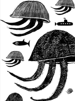 Galeria - zdjęcie nr. 4 - Zwierzaki cudaki