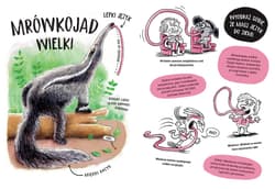 Galeria - zdjęcie nr. 3 - Zwierzaki cwaniaki. Akademia Mądrego Dziecka. Chcę wiedzieć