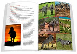 Galeria - zdjęcie nr. 4 - Zwierzęta Afryki przewodnik na Safari 2025