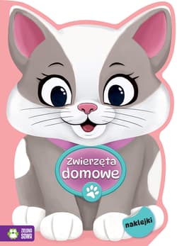 Zwierzęta domowe. Na tropie kolorów