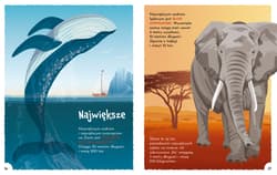 Galeria - zdjęcie nr. 2 - Zwierzęta. Fakty i ciekawostki. Książkożercy. Moje pierwsze ABC