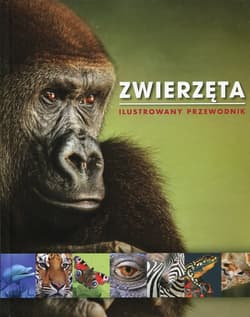 Zwierzęta Ilustrowany przewodnik