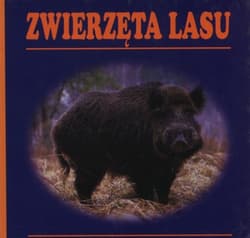 Zwierzęta lasu - Praca zbiorowa