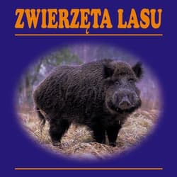 Zwierzęta lasu - Praca zbiorowa