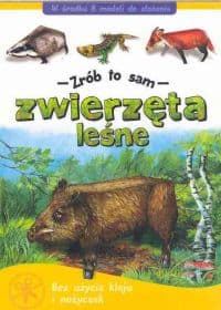 Zwierzęta leśne - Zrób to sam - Piotr Brydak