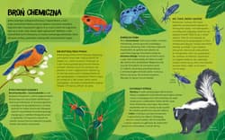 Galeria - zdjęcie nr. 3 - Zwierzęta mają supermoce