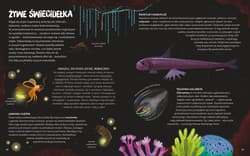 Galeria - zdjęcie nr. 4 - Zwierzęta mają supermoce