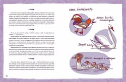 Galeria - zdjęcie nr. 5 - Zwierzęta miast czyli 22 portrety naszych nieudomowionych sąsiadów