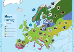 Galeria - zdjęcie nr. 4 - Zwierzęta. Moja pierwsza encyklopedia