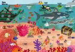 Galeria - zdjęcie nr. 2 - Zwierzęta. Moja pierwsza encyklopedia polsko-angielska z okienkami