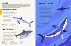 Galeria - zdjęcie nr. 3 - Zwierzęta od A do Z ponad 300 gatunków!