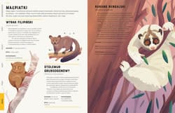 Galeria - zdjęcie nr. 4 - Zwierzęta od A do Z ponad 300 gatunków!