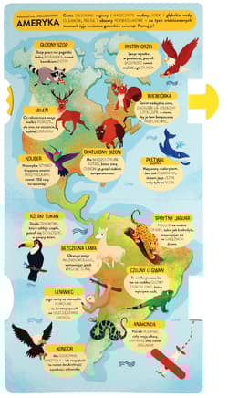 Galeria - zdjęcie nr. 2 - Zwierzęta. Pierwsza książkowa gra zręcznościowa