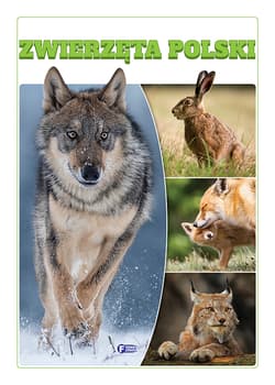 Zwierzęta Polski - Opracowanie Zbiorowe