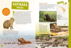 Galeria - zdjęcie nr. 2 - Zwierzęta świata