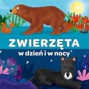 Zwierzęta w dzień i w nocy - Praca zbiorowa