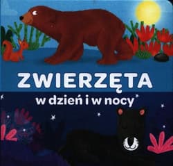 Zwierzęta w dzień i w nocy - Praca zbiorowa
