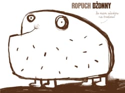 Galeria - zdjęcie nr. 3 - Zwierzoły