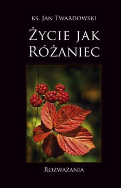 Życie jak różaniec Rozważania - Jan Twardowski