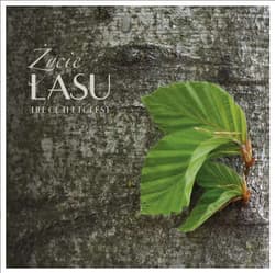 Życie lasu - Opracowanie Zbiorowe
