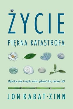 Życie piękna katastrofa - Jon Kabat-Zinn