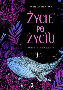 Życie po życiu - ebook - Instytut Newtona