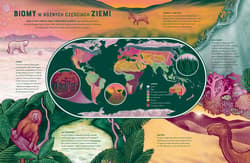 Galeria - zdjęcie nr. 2 - Życie. Zdumiewający świat bioróżnorodności