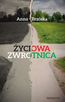 Życiowa zwrotnica - Anna Brzóska