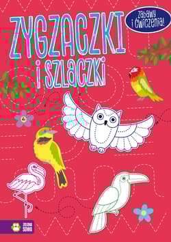 Zygzaczki i szlaczki. Czerwone - Opracowanie Zbiorowe