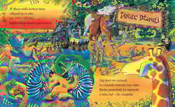 Galeria - zdjęcie nr. 5 - Żyrafy nie umieją tańczyć